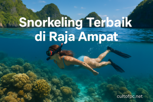 Snorkeling Terbaik di Raja Ampat